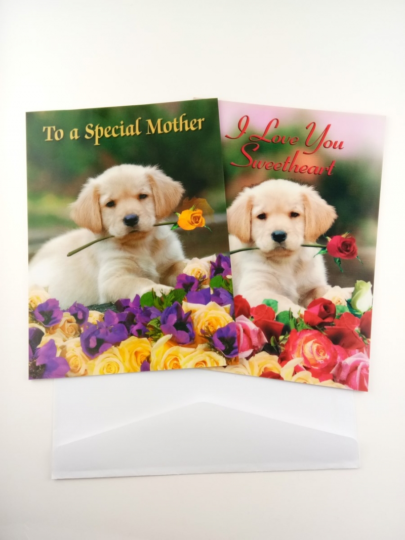 3d印刷：3d印刷技术中的光栅材料