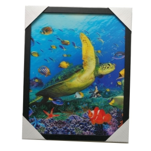 3D立体画-海龟